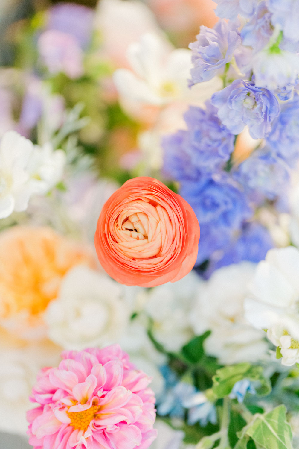 Colorful wedding flowers by Life in Bloom