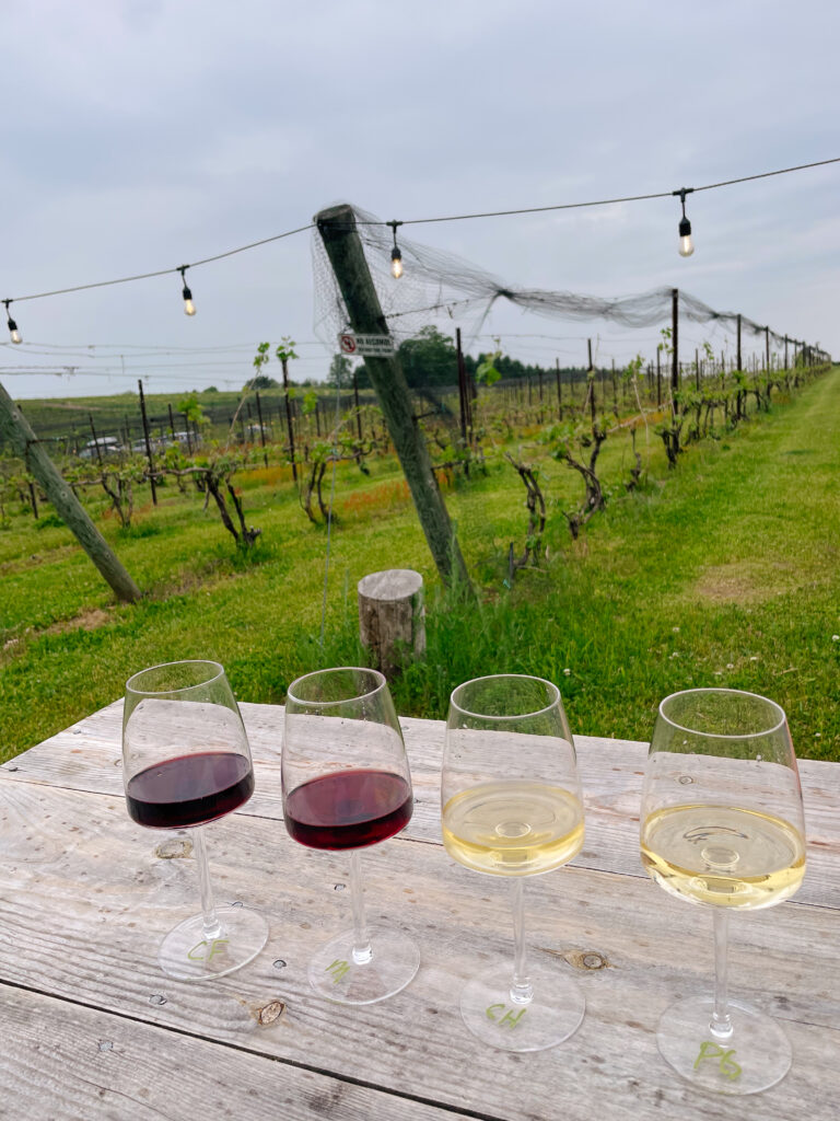 Three Tree Vineyards in Northern Michigan