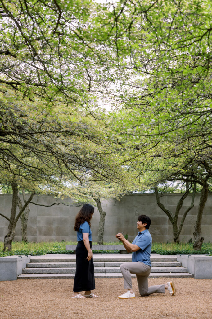 Romantic proposal in the South Garden at The Art Institute of Chicago