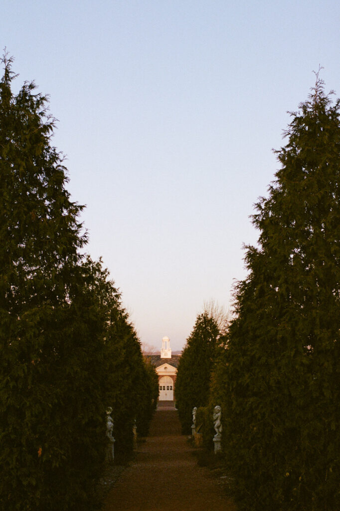Sunrise light through trees at Elawa Farm in Lake Forest Illinois caught on film.