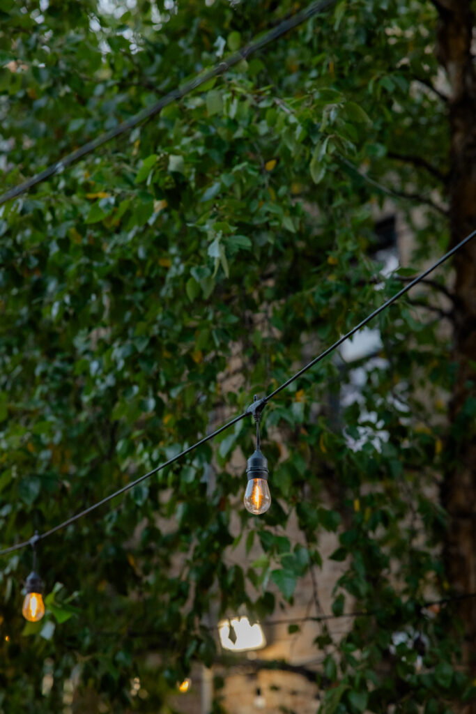 Close up of leafy greenery and string lights outside restaurant in Lincoln Park Chicago